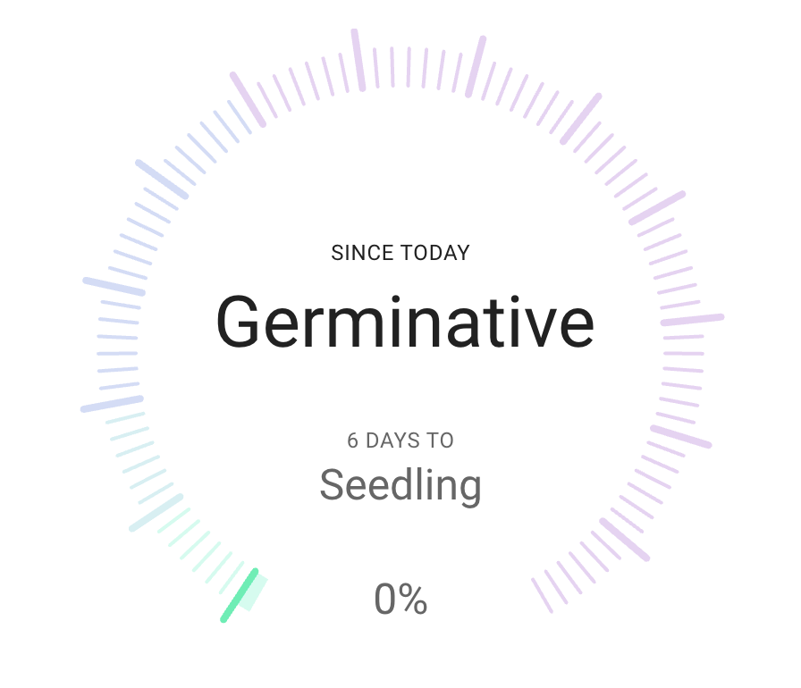 app milestone