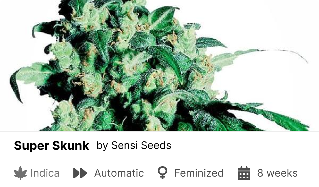 Strain details